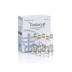 Alpha Pharma Testocyp-Testo Cypionat  250mg 10 ampul
