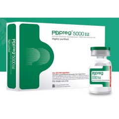  PDPREG-HCG 5000IU 1 Flakon