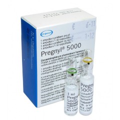 Pregnyl 5000IU 1 ampul
