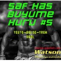 Saf Kas Büyüme Kürü #5